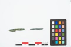Foto von Bronzering (NHMW-PRAE-026374)